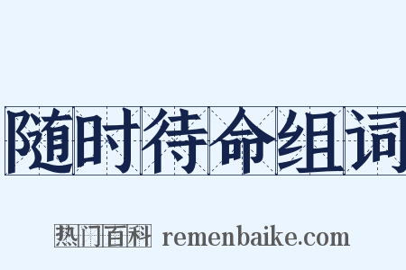 随时待命组词是什么意思的图片